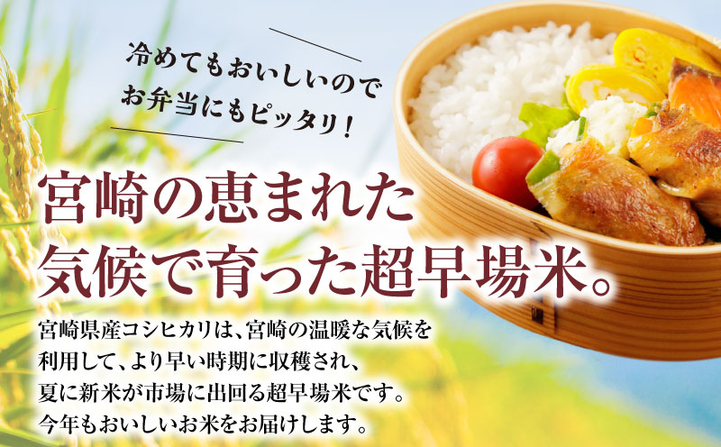 《令和7年産》《無洗米》宮崎県産こしひかり 合計8kg(2kg×4袋)_M181-004