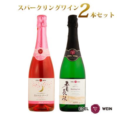 ふるさと納税 花巻市 スパークリングワイン(白・ロゼ)各1本　計2本セット