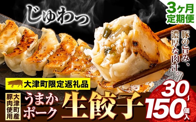 
            【3ヶ月定期便】餃子 うまかポーク生餃子 タレ付き 大津町限定返礼品 冷凍餃子 ギョウザ 大津町産豚肉使用 九州産キャベツ使用（大津町産含む）皮モチモチ 肉汁溢れる ぎょうざ 30個 60個 90個 150個 《お申込み月の翌月から出荷開始》
          