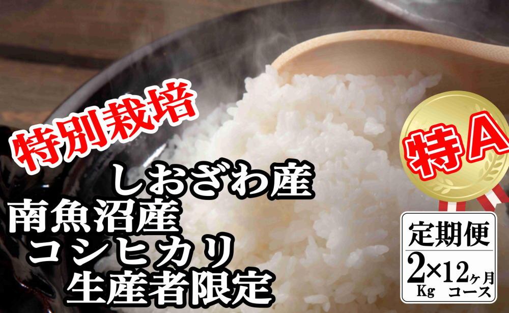 【令和7年産】【定期便：2Kg×12ヶ月】特別栽培 生産者限定 南魚沼しおざわ産コシヒカリ【2025年10月上旬より順次発送予定】