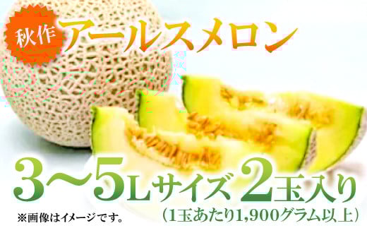 益田産アールスメロン（2玉入り）【秋作】【メロン 先行予約 3L～5Lサイズ 10月17日～10月30日発送 期間限定 季節限定 早期予約 青肉 果物 くだもの フルーツ メロン アールスメロン 2玉 秋作】