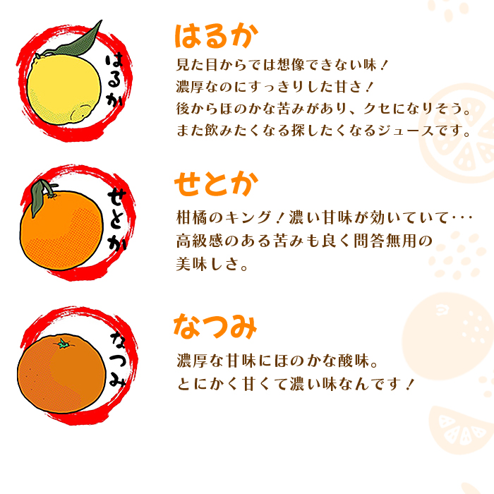 ＜一歩会 ジュエリーボックス ジュース飲み比べセット 720ml×12本入り（果汁100%ストレートジュース）＞ 愛媛 みかん ミカン 柑橘 果物 フルーツ 特産品 渡江から一歩を踏み出す会 愛媛県 
