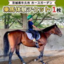 【ふるさと納税】乗馬体験1回コース 乗馬 レッスン 見学 初心者 日帰り 体験 馬 チケット