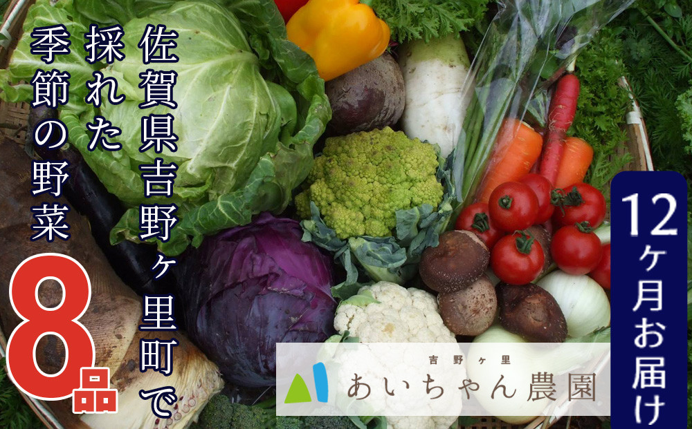 
            【定期便セット】全12回 吉野ヶ里産 季節の野菜と定番野菜の詰合せセット8品
          