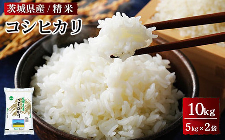 令和6年産 茨城県産 コシヒカリ 精米 合計10kg (5kg×2袋) ※離島への配送不可 ｜ コシヒカリ ｺｼﾋｶﾘ お米 米 精米 白米 10kg  お弁当 もちもち 国産 送料無料 ブランド米 