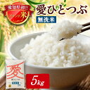 【ふるさと納税】令和6年産　愛知県産 ブランド米 無洗米　愛ひとつぶ 5kg　パールライス 安城工場精米【1469576】
