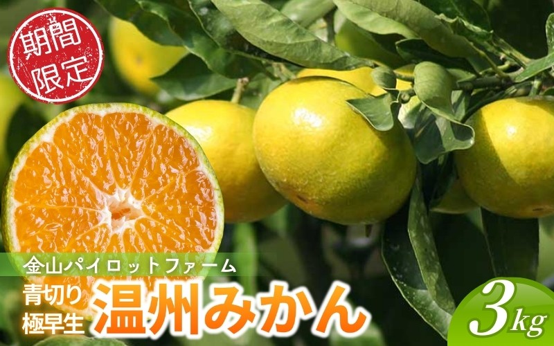 
                  みかん 金山パイロットファームの 極早生温州みかん 3㎏ 【2026年9月下旬から順次発送】 みかん ミカン 温州みかん 極早生 極早生みかん フルーツ 果物 くだもの 柑橘 産地直送 数量限定 人気 国産 三重県 熊野市【knpr0018cho】
                