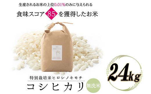 
                  令和8年度　新米 特別栽培米 コシヒカリ ヒロシノキモチ 無洗米 24kg ブランド米 銘柄米 国産 米 お米 日本米 ギフト 贈り物 備蓄 防災 食品 陽咲玲 はるざれ F6T-1057
                