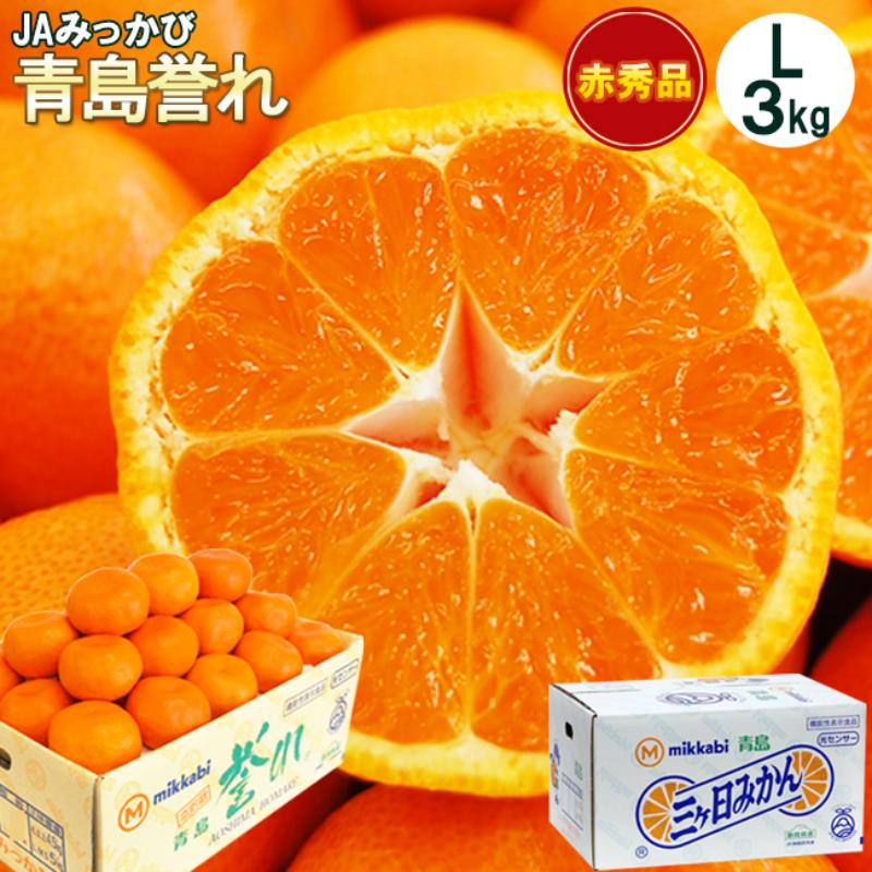 【ふるさと納税】三ヶ日みかん 本貯蔵 青島 誉れ 【赤秀】Lサイズ 3キロ(23個前後) ミカン 果物 くだもの フルーツ 甘い 浜松市 果物類 柑橘類　お届け：2026年3月上旬～3月下旬