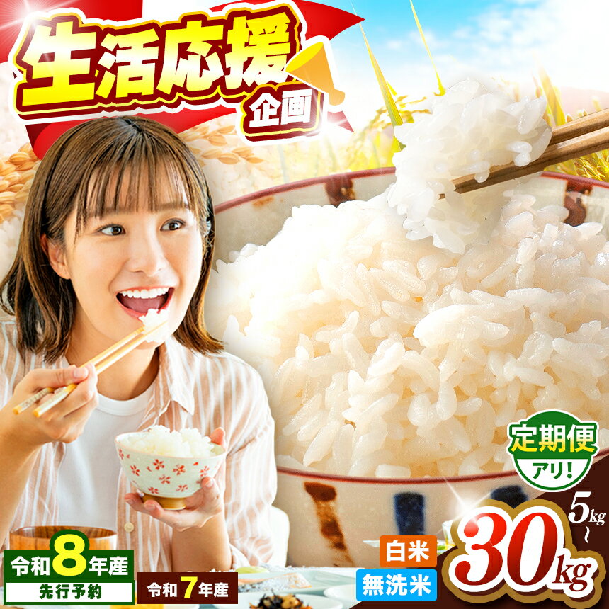 無洗米 10kg ひのひかり 5kg / 森のくまさん5kg 白米 10kg （5kg×2袋） 単一原料米 熊本県産 送料無料 おにぎり おうちごはん 炊立てご飯 ヒノヒカリ