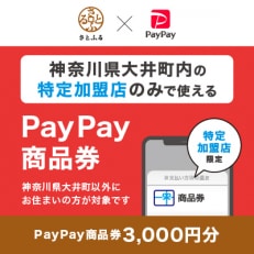 神奈川県大井町　PayPay商品券(3,000円分)※地域内の一部の加盟店のみで利用可