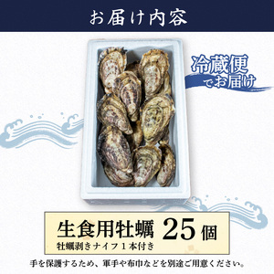 【生食用】 牡蠣 25個 生牡蠣 生食 殻付き 英虞湾産 シングルシードオイスター 「アマテラス」 牡蠣