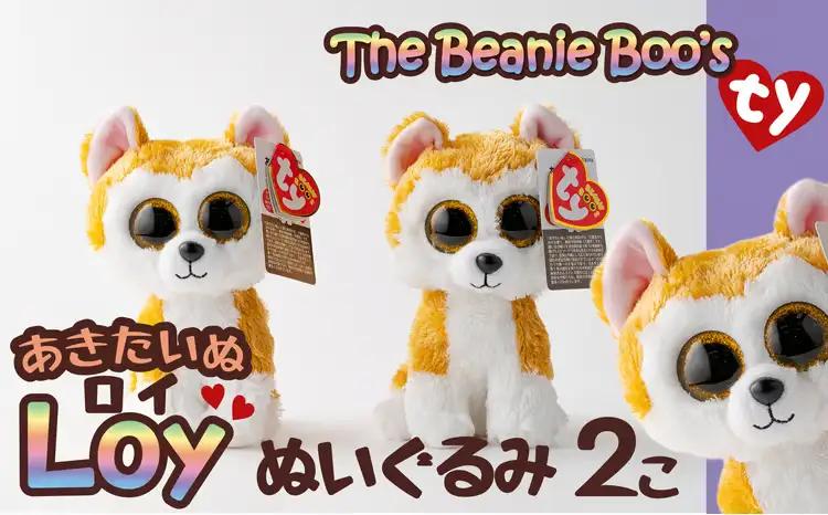 35P7303 Tyぬいぐるみ秋田犬Loy(ロイ)　2個セット【花ドーム】