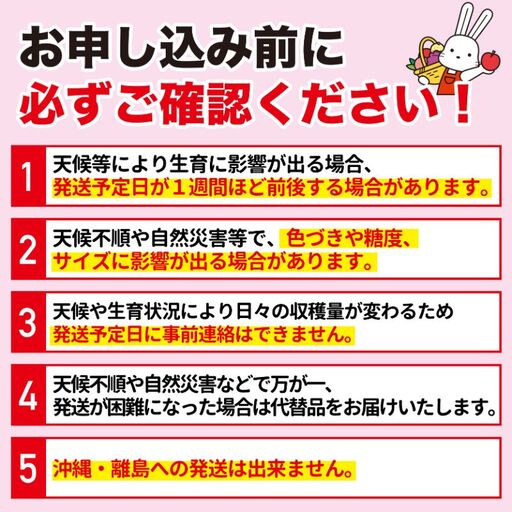 No.1357 ふくしまのりんご蜜姫「サンふじ」約2.5kg化粧箱入【2026年度発送】