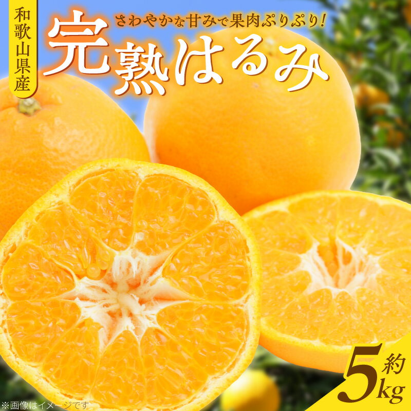 【ふるさと納税】【2027年先行予約】【限定】 果肉ぷりぷり！完熟 はるみ 約5kg【ミカン 蜜柑 春みかん 柑橘 和歌山 有田 春見】