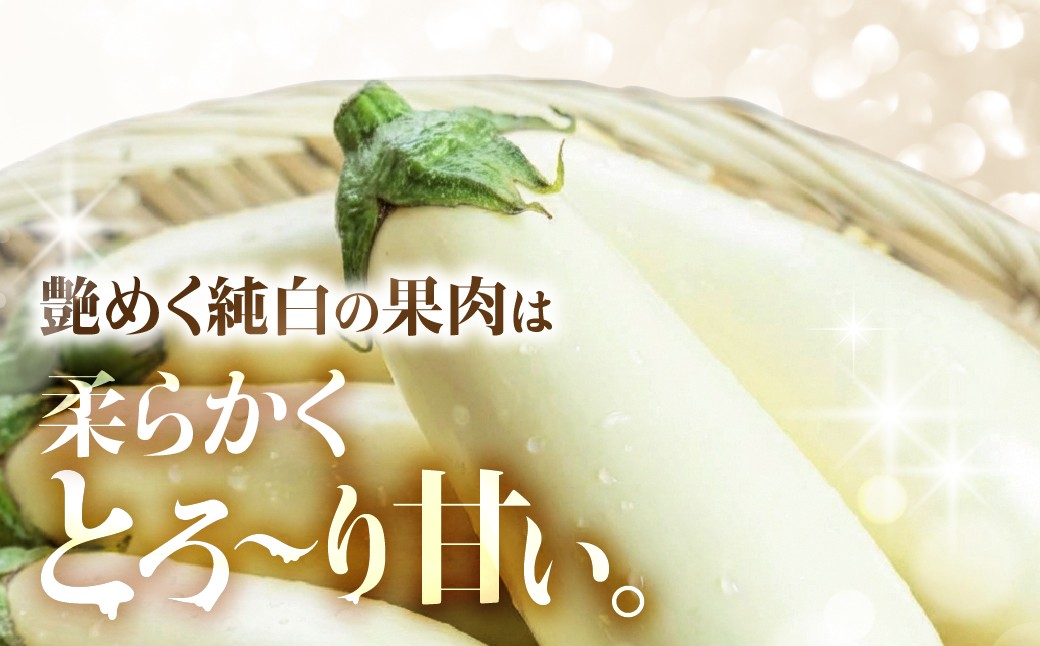 甘味が強くツヤハリの良いとげなし輝楽と、とろ～り甘い。純白のなすのセット