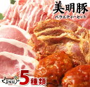 【ふるさと納税】【美明豚】バラエティーセット　豚肉 美明豚 ブランド豚 詰め合わせ セット 国産 モモ肉 もも バラ ハンバーグ 味噌漬け 切り身 切り落とし 贈答用　ロース　バラ肉　肩ロース｜J-1