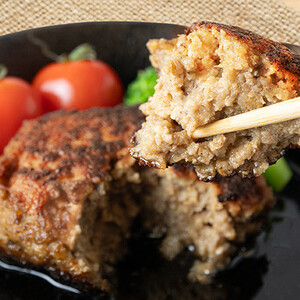 多来多来の自家製手ごねハンバーグ(150g×4個)【配送不可地域：離島】【1561278】