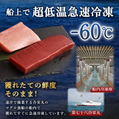 ふるさと納税 室戸市 厳選天然本マグロ、中トロ、赤身セット |  | 02