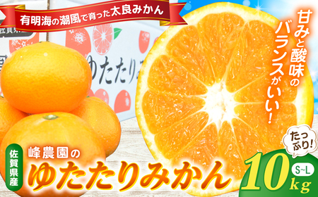  峰農園のゆたたりみかん 10kg　みかん ミカン 蜜柑 たらみかん 太良みかん 温州みかん 完熟みかん 甘熟 柑橘 国産 佐賀県産 太良町 こだわり 有機栽培 産地直送 贈答品 詰め合わせ 極甘 ND11