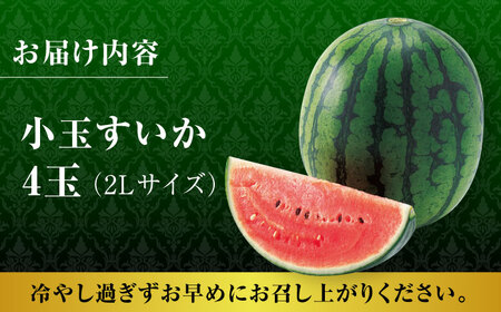 【先行予約】小玉スイカ ひとりじめ 4玉 2Lサイズ 【株式会社 前田ファーム】[ZCM012]