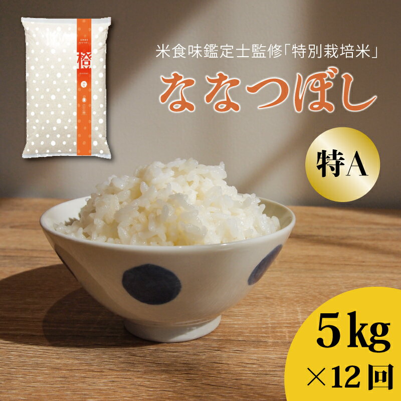 【ふるさと納税】※令和7年産※ ≪定期便12ヶ月≫ 特A ななつぼし 特別栽培米 5kg×12回 特A米 減農薬 低農薬 当麻町 北海道 こめ 精米 米 舟山農産 北海道産 北海道米 定期便 定期 送料無料 お取り寄せ