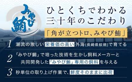 【訳あり】みやび鮪 切り落とし 端っこちゃん 計約900g（約100g×9） 9～10人前 ／ マグロ 鮪 トロ 本鮪 本マグロ 本まぐろ 冷凍まぐろ 冷凍鮪 まぐろ 赤身 トロ 鮪赤身 鮪トロ 国産