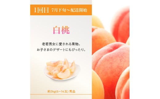≪先行受付≫ 桃と梨好きの満足定期便【定期便全3回】