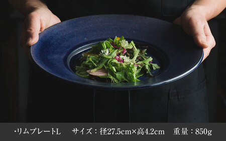 【美濃焼】 恩田陽子 リムプレート 皿 3色×3サイズ 計9点セット グリーン ゴールド パープル S M L 瑞浪市 / JS企画 食器 プレート おしゃれ セット [AZAZ030]