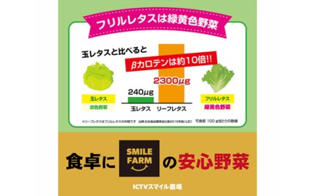 【農薬不使用】洗わず食べられる！ フリルレタス 8袋【 フリルレタス レタス サラダ 葉物 野菜 サラダ 用 レタス 緑黄色野菜 レタス 8袋 レタス 新鮮 レタス 個包装 レタス おすすめ 東松山 