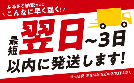 飛騨牛 切り落とし 700g 多治見市 / 養老ミート 冷凍 赤身 和牛 訳あり ギフト[THG001]