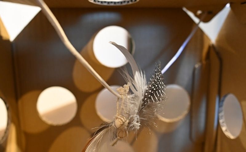 necowakuBOX｜ネコワクボックス 猫　ねこ 　ネコ　ペット ペット用品