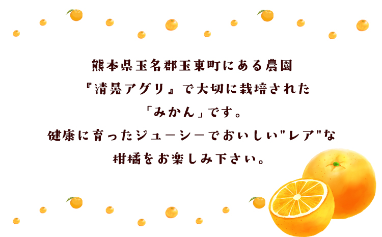 『清晃アグリ』のみかん★約4kg(2S-2Lサイズ) 予約受付中 フルーツ 秋 旬★熊本県玉名郡玉東町 健康な土で育つジューシーおいしいみかん！《11月中旬-12月末頃出荷》