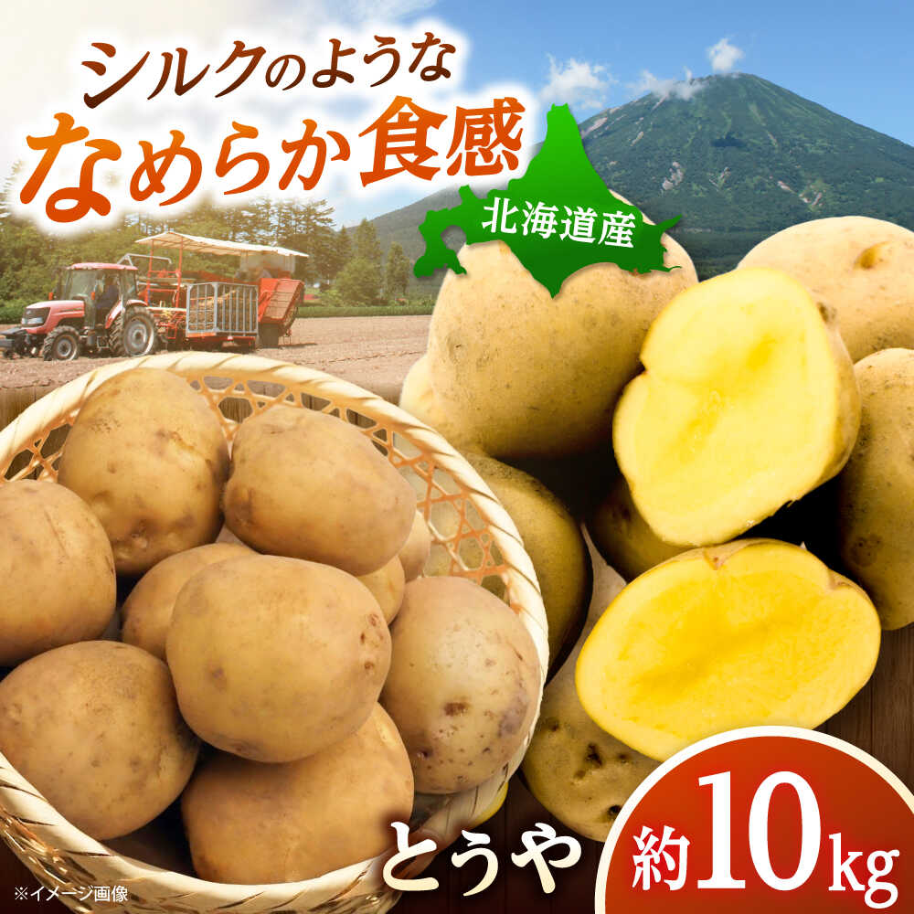 【ふるさと納税】【2026年10月上旬以降順次発送】 じゃがいも とうや 10kg | じゃがいも とうや 野菜 やさい 北海道 産地直送 | 道の駅 真狩フラワーセンター[BPAM023]