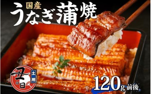 名古屋 うなぎのしら河 国産 鰻 蒲焼き 120g前後×1尾 タレ 山椒付 | 土用の丑 うなぎ ウナギ かばやき 鰻丼 うな重 鰻重  お中元 お歳暮 ギフト 愛知県 名古屋市