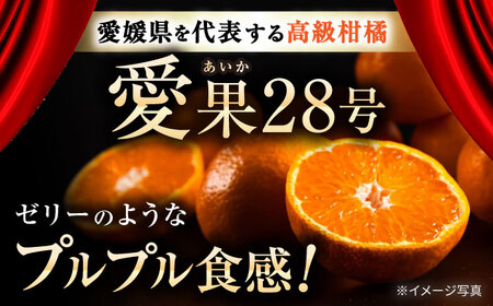 みかん 訳あり愛果28号 約2kg 約10玉 フルーツ 果物 みかん 訳あり BJBL001