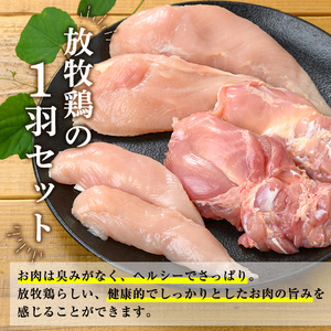 K-598 国産！オーガニックチキン1羽セット 未カット (計1.1kg～1.5kg)【お多福たまご】霧島市 国産 鶏肉 鳥 もも モモ 胸肉 むね ムネ ささみ ササミ オーガニック 有機JAS認定