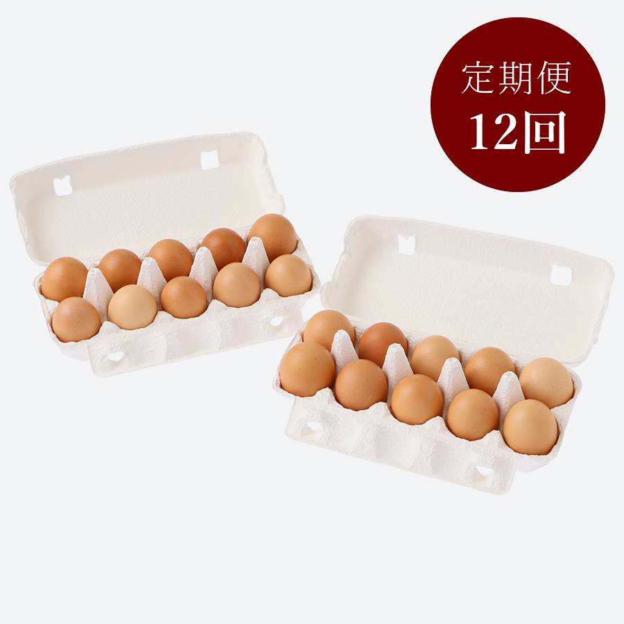 ＜たかはし農園＞放し飼い黒鶏ネラの卵 10個×2パック【12ヶ月定期便】MS～Lサイズ