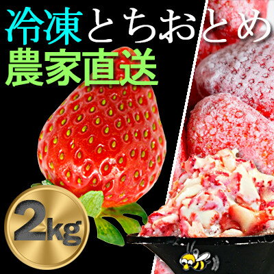 【ふるさと納税】農家直送!削りイチゴパフェも楽しめるBELL FARMの美味しい冷凍いちご2kg【苺1kg×2箱】【配送不可地域：離島】【1013445】