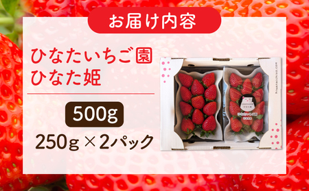 【期間・数量限定】ひなたいちご園【ひなた姫】いちご 500g（250g×2P） 苺 旬 フルーツ