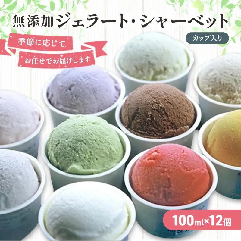 無添加 ジェラート・シャーベット詰合せ 100ml×12個 スイーツ アイスクリーム セット 