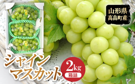 《2025年先行予約》山形県 高畠町産 シャインマスカット 箱詰 約2kg(3～4房) 2025年9月中旬から順次発送 ぶどう ブドウ 葡萄 マスカット 大粒 種なし 高級 くだもの 果物 フルーツ 秋果実 産地直送 農家直送 数量限定 贈答 ギフト F21B-305