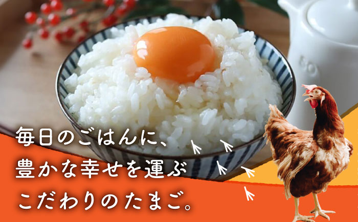 【全3回定期便】赤たまご M玉 90個（85個＋5個割れ保証）【農事組合法人 鹿本養鶏組合】 [ZCA014]