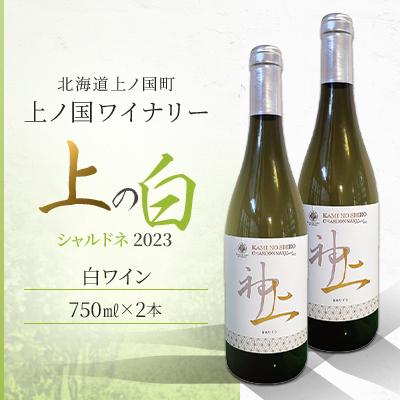 ふるさと納税 上ノ国町 北海道 上ノ国ワイナリー 白ワイン「上の白 シャルドネ 2023」 750ml×2本