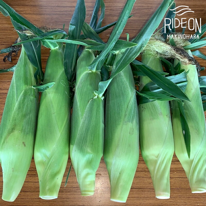 【ふるさと納税】 【予約受付令和8年6月から発送開始】 野菜 とうもろこし 2.5kg トマト（マキノハニー） 1.1kg セット スイーツ 予約受付 甘い レジャー キャンプ 美味しい おいしい バーベキュー BBQ 産地直送 新鮮 おやつ 送料無料 期間限定 数量限定 静岡県 牧之原市
