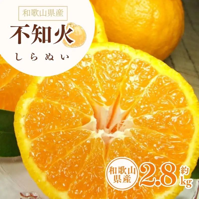 デコ不知火（デコポン） 約2.8kg/サイズおまかせ　※2027年2月上旬～2027年4月上旬頃に順次発送予定(お届け日指定不可)　紀伊国屋文左衛門本舗　【ntbt421C】