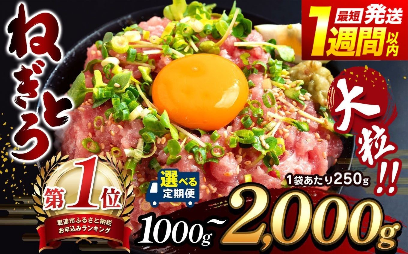 清幸丸水産 ねぎとろ 大人気 1250g(250g×5袋) 味も量も大満足