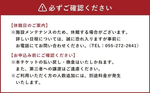 【 市川三郷町共通返礼品 ・ 夜景100選 ・ 温泉総選挙 絶景部門４年連続１位 】 みたまの湯温泉回数券 （ 11枚綴り ） 眺望 泉質 アルカリ性 有機物 効能 疲労回復 観光 温泉 旅行 旅 夜