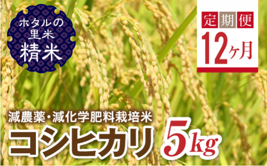 ＜定期便12ヶ月＞ 令和8年産米【ホタルの里米】環境に配慮し農薬を減らした栽培米 コシヒカリ精米5kg  F4D-2278