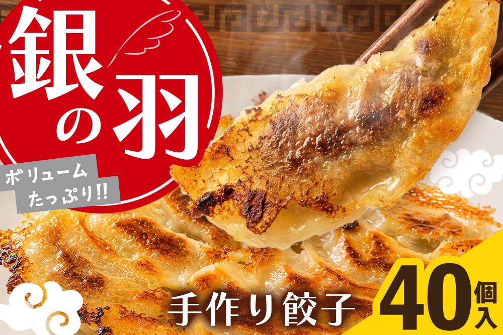 
            手づくり餃子 銀の羽 40個入【ぎょうざ ジューシー コラーゲン ビールのおつまみ ボリューム 小分け】K007017
          